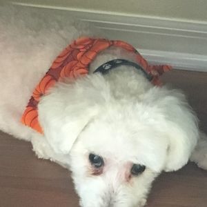 Meet your Posher, Maria